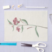 レッドウィローウィードbyメリーヴォー・ウォルコット 薄葉紙 (クラフト)