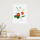 レッドウィローウィードIIプリントバイメリーヴォーウォルコット ポスター (キッチン)