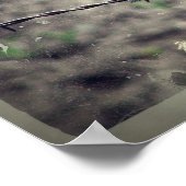 レッドウィングブラックバードフェイクヴィンテージ ポスター (角)