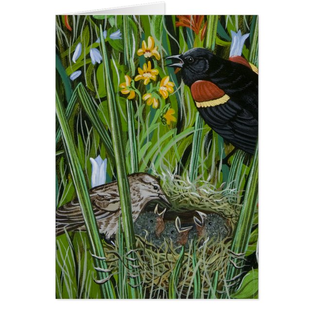 レッドウィングブラックバード (正面)