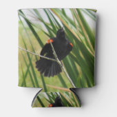 レッドウィングブラックバード – バックヤードバードクーラーボックス 缶クーラー (正面)