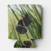 レッドウィングブラックバード – バックヤードバードクーラーボックス 缶クーラー (裏面)