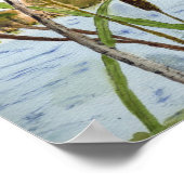 レッドウィングブラックバード ポスター (角)