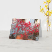 レッドウィンターベリー – Martha's Vineヤード カード (黄色い花)