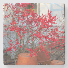 レッドウィンターベリー – Martha's Vineヤード ストーンコースター