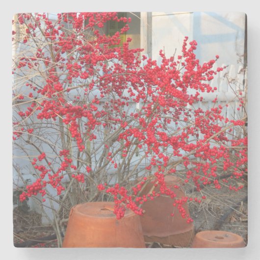 レッドウィンターベリー – Martha's Vineヤード ストーンコースター (正面)