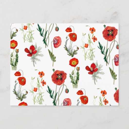 レッドウォーターカラーポピー花模様 シーズンポストカード (正面)