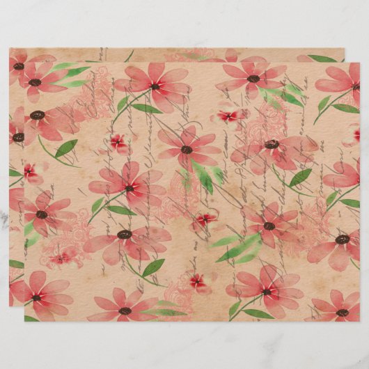 レッドウォーター色デイジーフィールドヴィンテージ (正面/裏面)