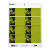 レッドウォーター・リリー花の印象派デジタルアート ラベル (フルシート)