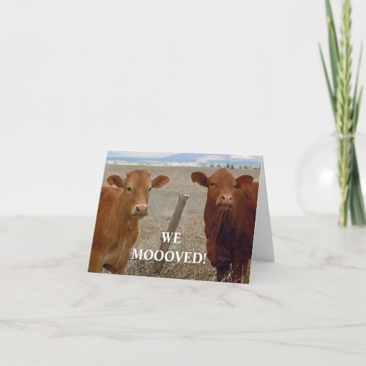 レッドウシ – 西洋の住所変更 案内状 (正面)