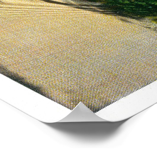 レッドウッズの巨大な森の中を自動車で移動 ポスター (角)