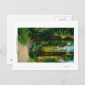 レッドウッズの巨大な森の中を自動車で移動 ポストカード (正面/裏面)