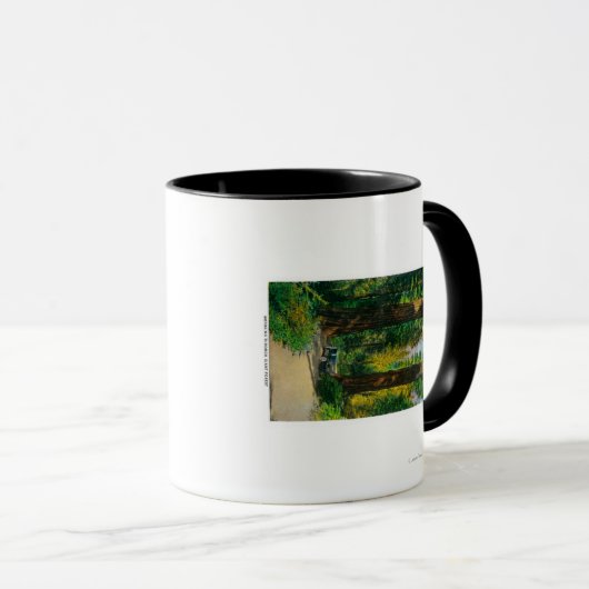 レッドウッズの巨大な森の中を自動車で移動 マグカップ (正面右)