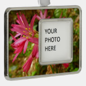 レッドウッズの赤いクリントニアの花 シルバープレートフレームオーナメント (右)