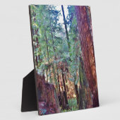 レッドウッズシリーズ#2：木々の間 フォトプラーク (側面)