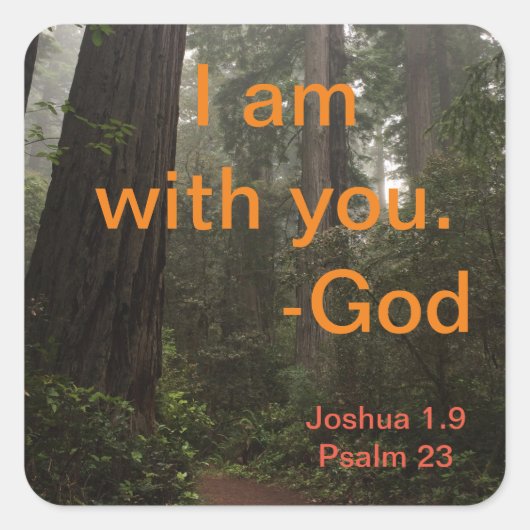 レッドウッズハイキングトレイル スクエアシール (正面)