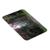 レッドウッズ国立公園マグネット マグネット (右側)