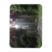 レッドウッズ国立公園マグネット マグネット (縦)