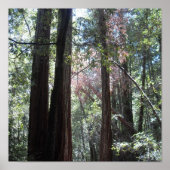 レッドウッズ ポスター (正面)