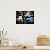 レッドウッズ ポスター (キッチン)