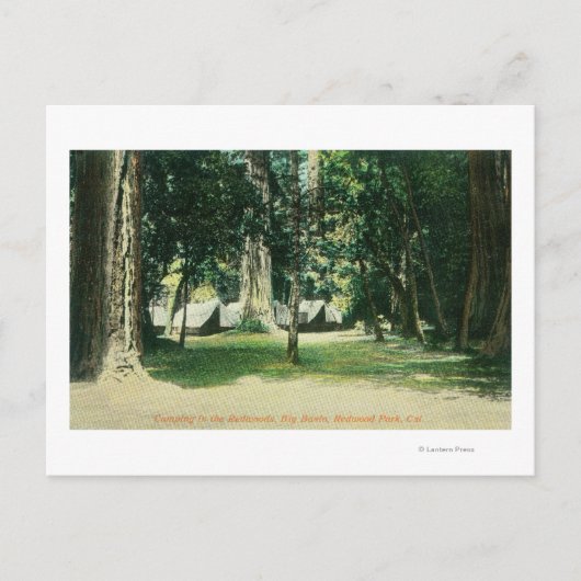 レッドウッドのキャンプの景色 ポストカード (正面)
