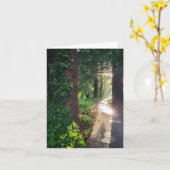 レッドウッドのサンライトのパスのグリーティングカード カード (黄色い花)