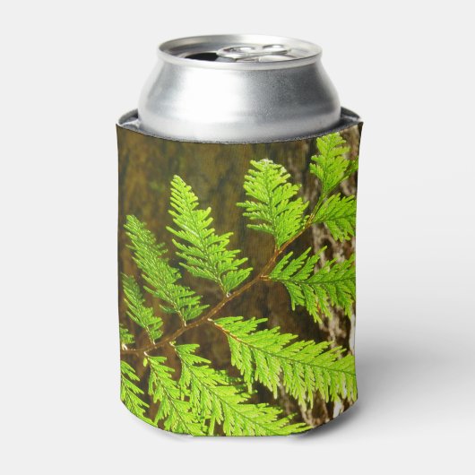 レッドウッドのハイライト植物画 缶クーラー (缶正面)