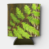 レッドウッドのハイライト植物画 缶クーラー (正面)
