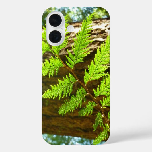 レッドウッドのハイライト植物画 Case-Mate iPhoneケース (裏面)