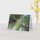 レッドウッドの挨拶状 カード (黄色い花)