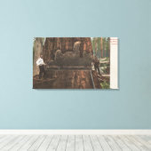 レッドウッドの木を切るランバージャック キャンバスプリント (インサイチュ (ウッドフロア))