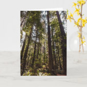 レッドウッドの木空白の- Greeting Card カード (黄色い花)