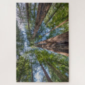 レッドウッドの木 |カリフォルニア州マリン郡 ジグソーパズル (縦)