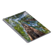 レッドウッドの木 |カリフォルニア州マリン郡 ノートブック (右側)