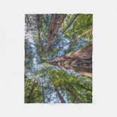 レッドウッドの木 |カリフォルニア州マリン郡 フリースブランケット (正面)