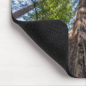 レッドウッドの木 |カリフォルニア州マリン郡 マウスパッド (コーナー)