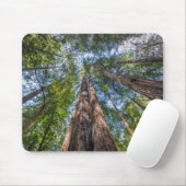 レッドウッドの木 |カリフォルニア州マリン郡 マウスパッド (マウス)