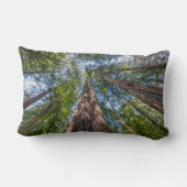 レッドウッドの木 |カリフォルニア州マリン郡 ランバークッション (裏面)