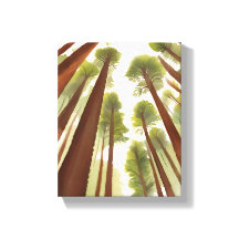 レッドウッドの木 | レッドウッド国立公園水彩画