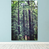 レッドウッドの木#2キャンバス キャンバスプリント (インサイチュ (ウッドフロア))