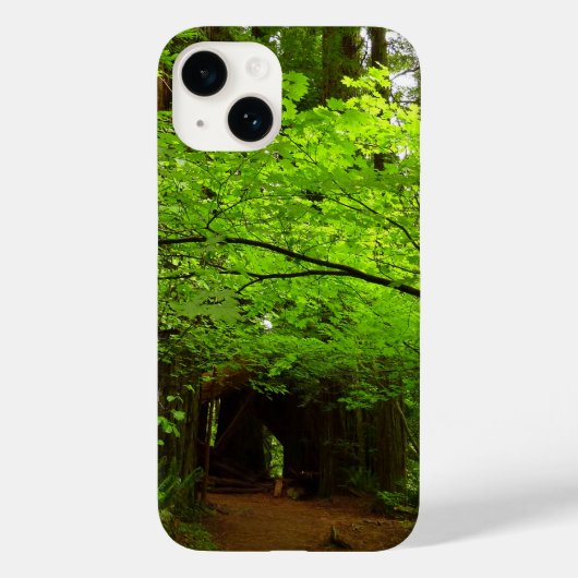 レッドウッドの森のメープルの木々 Case-Mate iPhoneケース (裏面)