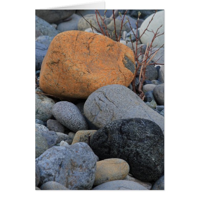 レッドウッドの森林の石 (正面)