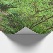 レッドウッドの森林の道 ラッピングペーパー (角)