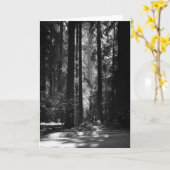 レッドウッドの森林、創設者のGrove 1966年 カード (黄色い花)