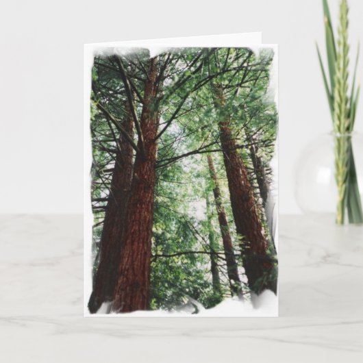 レッドウッドの空 カード (正面)