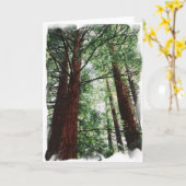 レッドウッドの空 カード (黄色い花)