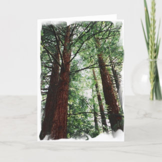 レッドウッドの空 カード