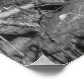 レッドウッドのLUMBERJACKS高c.1889 ポスター (角)