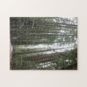 レッドウッドを通した散歩 ジグソーパズル (横)