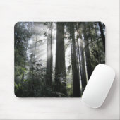 レッドウッドを通した日光 マウスパッド (マウス)